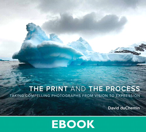 Print and the Process, The: Taking Compelling Photographs from Vision to Expression