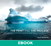 Print and the Process, The: Taking Compelling Photographs from Vision to Expression