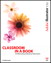 Adobe Illustrator CS2 Classroom in a Book