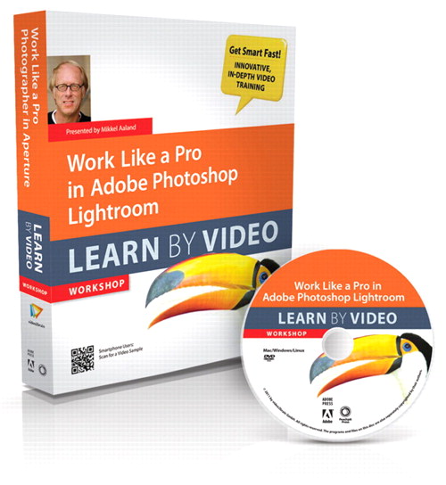 Work Like a Pro in Adobe Photoshop Lightroom: Learn by Video