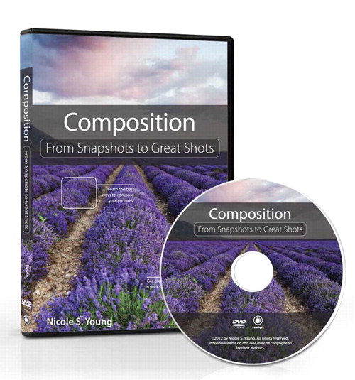 Composition: From Snapshots to Great Shots (DVD)