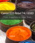 Canon EOS Rebel T4i / 650D: From Snapshots to Great Shots