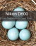 Nikon D600: From Snapshots to Great Shots