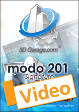 modo 203 Signature Courseware, Streaming Video