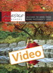 Be a Photoshop Guru: Unlocking the Hidden Genius Behind Photoshop