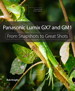 Panasonic Lumix GX7 and GM1: From Snapshots to Great Shots