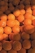 04_04-chasing-oranges.jpg
