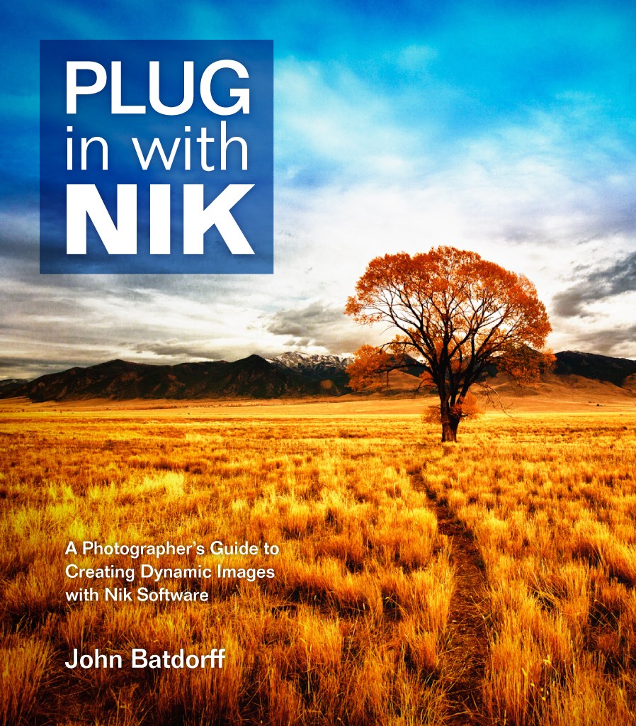 Plug In with Nik: A Photographer's Guide to Creating Dynamic Images with Nik Software