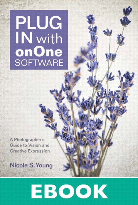 Plug In with onOne Software: A Photographer's Guide to Vision and Creative Expression