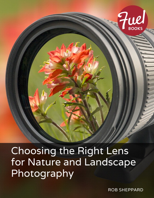 Choosing the Right Lens for Nature and Landscape Photography Peachpit