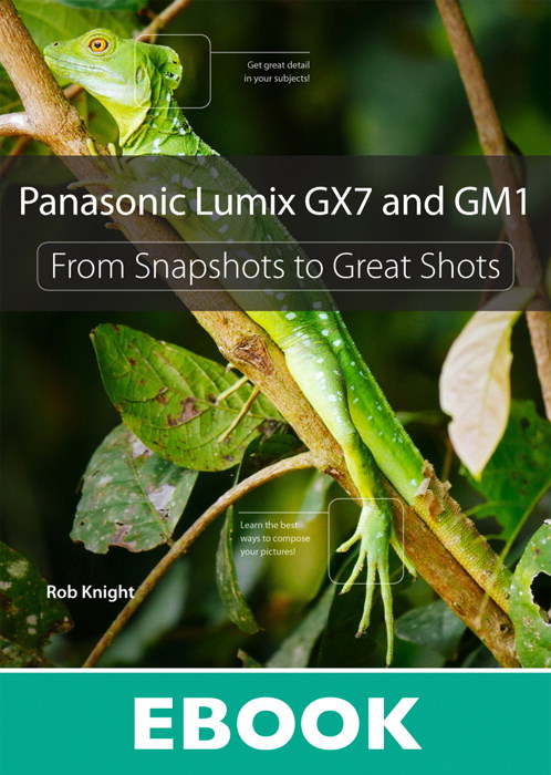 Panasonic Lumix GX7 and GM1: From Snapshots to Great Shots