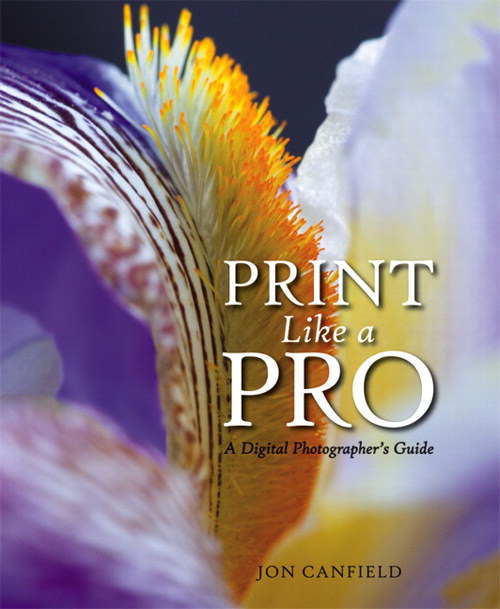 Print Like a Pro: A Digital Photographer's Guide