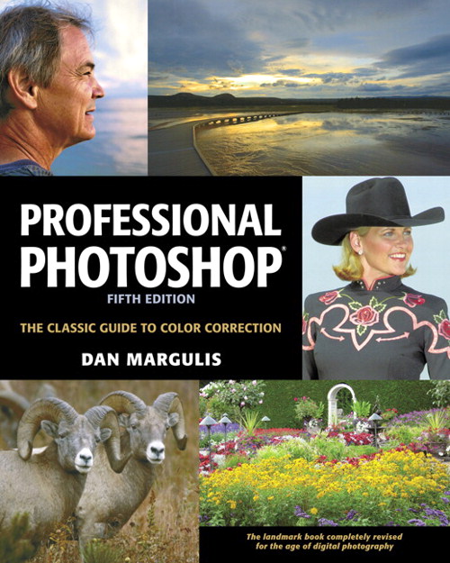 Professional Photoshop: The Classic Guide to Color Correction, Fifth Edition, 5th Edition