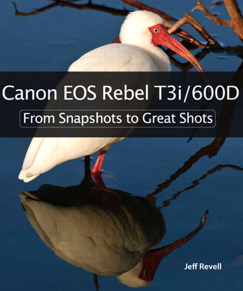 Canon EOS Rebel T3i / 600D: From Snapshots to Great Shots