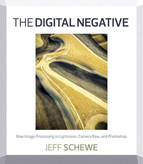 Digital Negative, The: Raw Image Processing in Lightroom, Camera Raw, and Photoshop