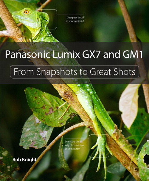 Panasonic Lumix GX7 and GM1: From Snapshots to Great Shots