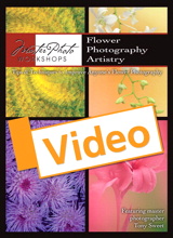 Flower Photography Artistry