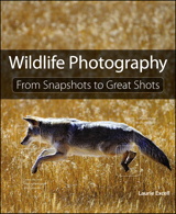 Wildlife Photography: From Snapshots to Great Shots