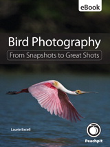 Bird Photography: From Snapshots to Great Shots