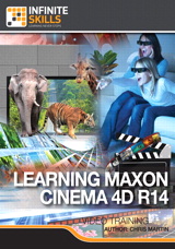 Learning Maxon Cinema 4D R14
