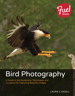Bird Photography: A Guide to the Equipment, Techniques, and Locations for Capturing Beautiful Images