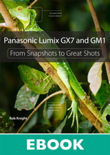 Panasonic Lumix GX7 and GM1: From Snapshots to Great Shots