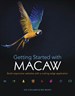 Getting Started with Macaw: Build responsive websites with a cutting-edge application