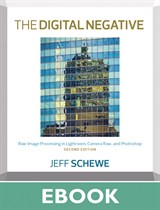 Digital Negative, The: Raw Image Processing in Lightroom, Camera Raw, and Photoshop, 2nd Edition