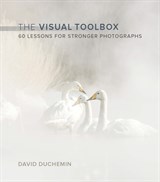 Visual Toolbox, The: 60 Lessons for Stronger Photographs