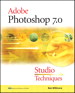 Adobe Photoshop 7.0 Studio Techniques