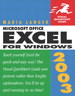 Microsoft Office Excel 2003 for Windows: Visual QuickStart Guide
