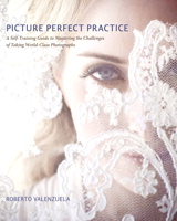 Picture Perfect Practice: A Self-Training Guide to Mastering the Challenges of Taking World-Class Photographs