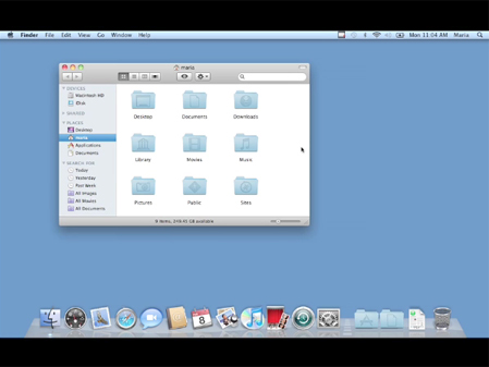 Mac OS X 10.6 Snow Leopard: Video QuickStart Guide