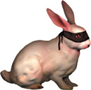 rabbit_aloneblack_trans.jpg